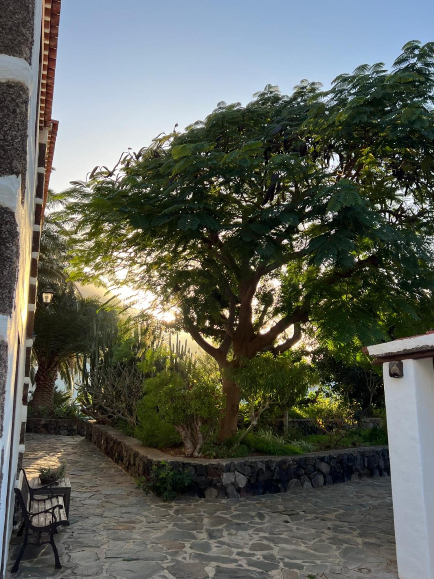 Finca Exclusiv La Mareta Agaete  Luaran gambar