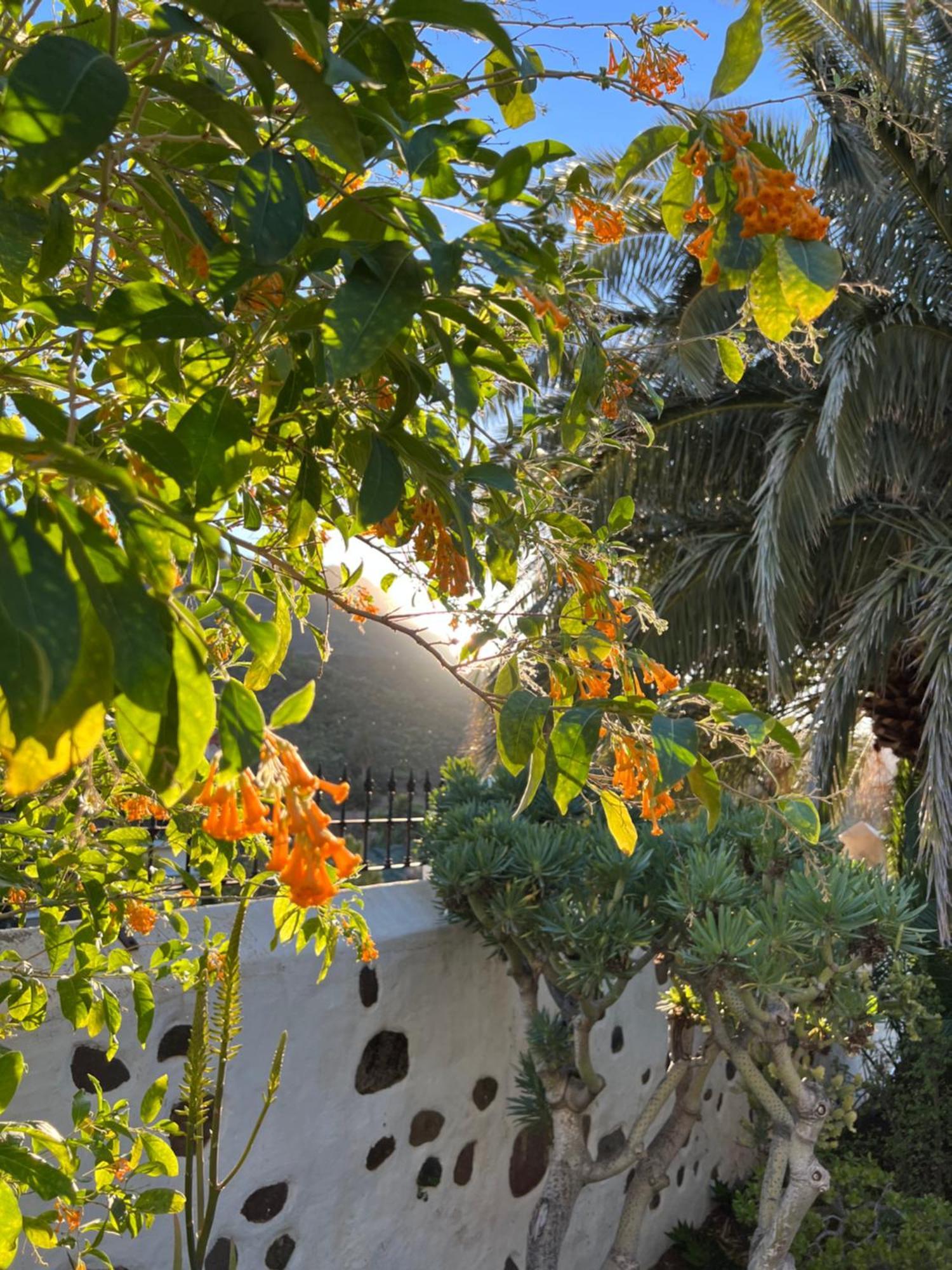 Finca Exclusiv La Mareta Agaete  Luaran gambar
