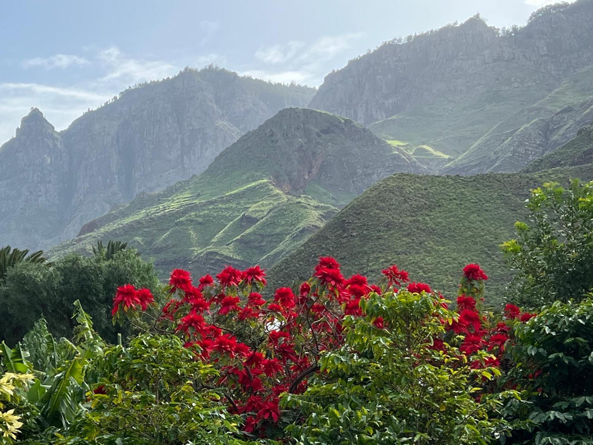 Finca Exclusiv La Mareta Agaete  Luaran gambar