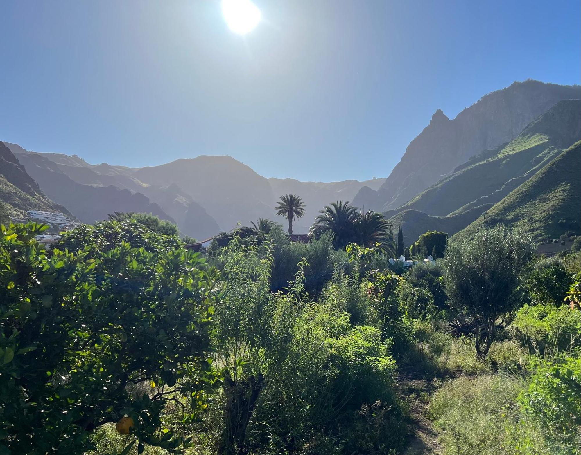 Finca Exclusiv La Mareta Agaete  Luaran gambar
